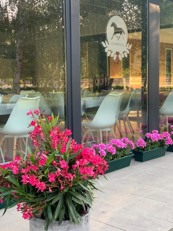 Hotel Mohacsi Wellness Vendeghaz Es Lovasklub Exterior foto