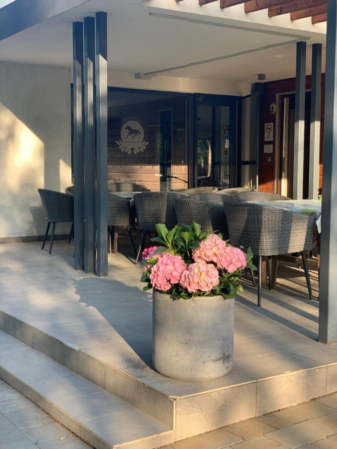 Hotel Mohacsi Wellness Vendeghaz Es Lovasklub Exterior foto